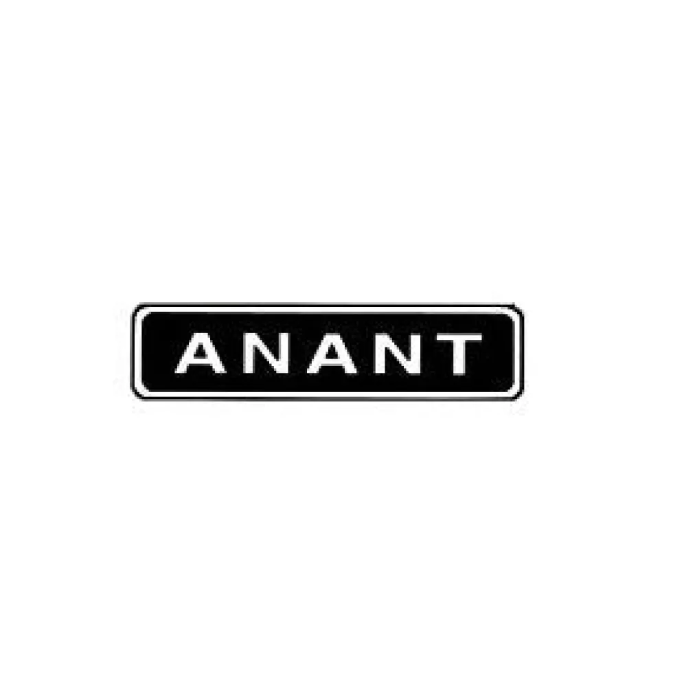 Anant Lever Cap for No. 78 Rabbet Plane