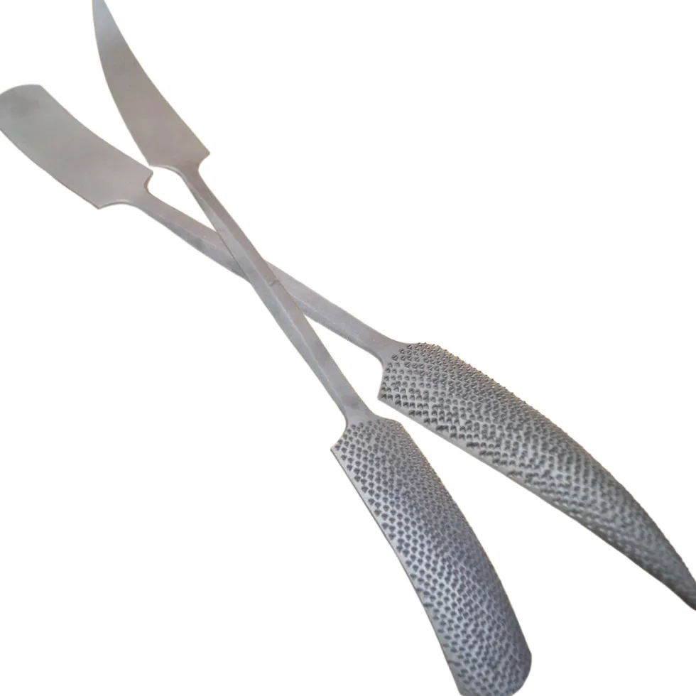 Auriou Curving Rasp