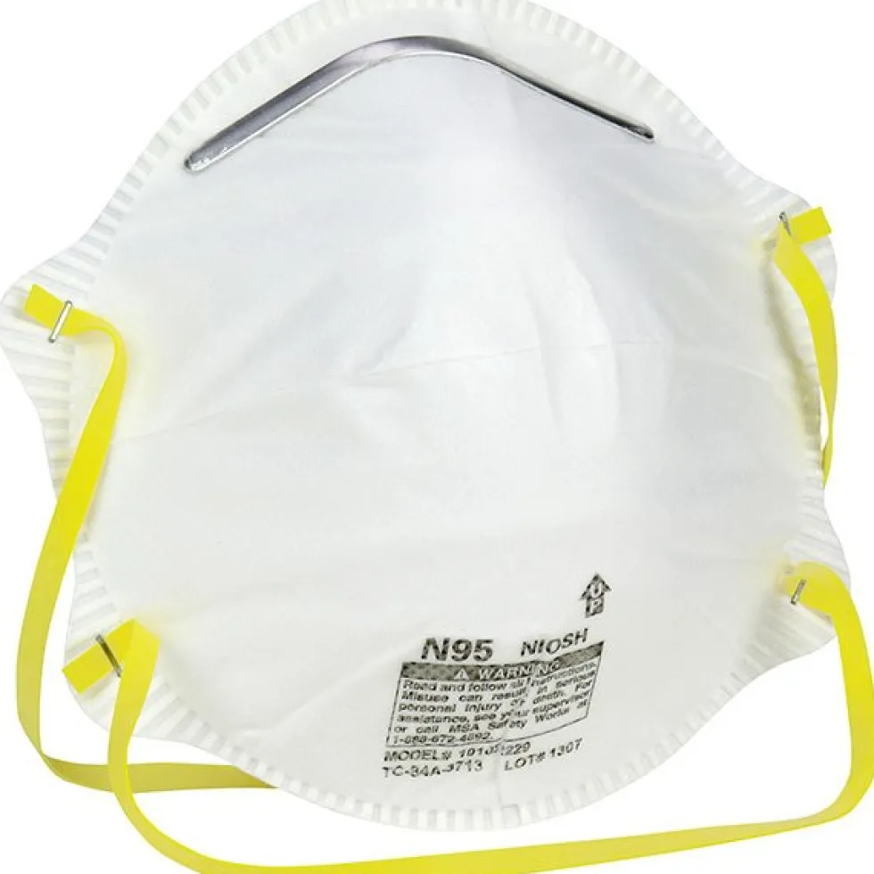 Disposable N95 Dust Masks - Box of 20