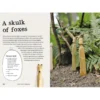 Forest Craft Handbook