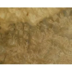 Myrtle Burl Veneer - 3 sq. ft.