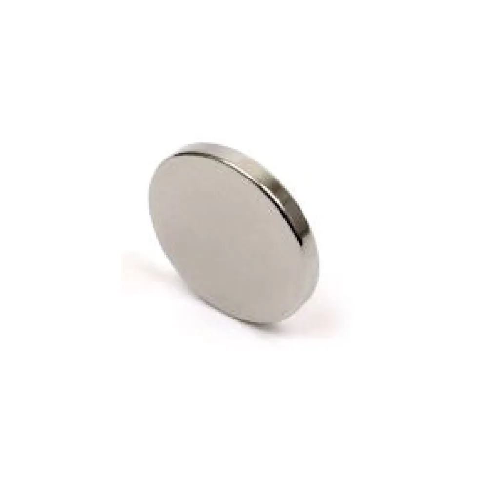 Rare Earth Disc Magnets - 1 inch - Pack of 4