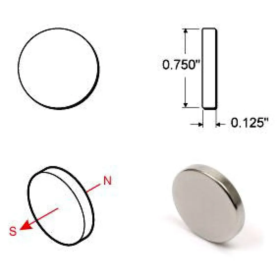 Rare Earth Disc Magnets - 3/4 inch - Pack of 6