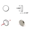 Rare Earth Disc Magnets - 1/2 inch - Pack of 10