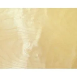White Birch Rotary Cut Veneer - 2' x 8'