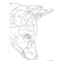 Wildlife Intarsia Woodworking